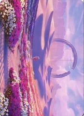Art Series (63/81) - Plains